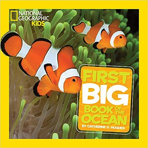 bookfair